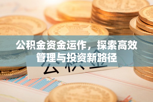 乌当公积金资金运作，探索高效管理与投资新路径